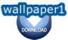 surfMKbackgroundHD1.zip